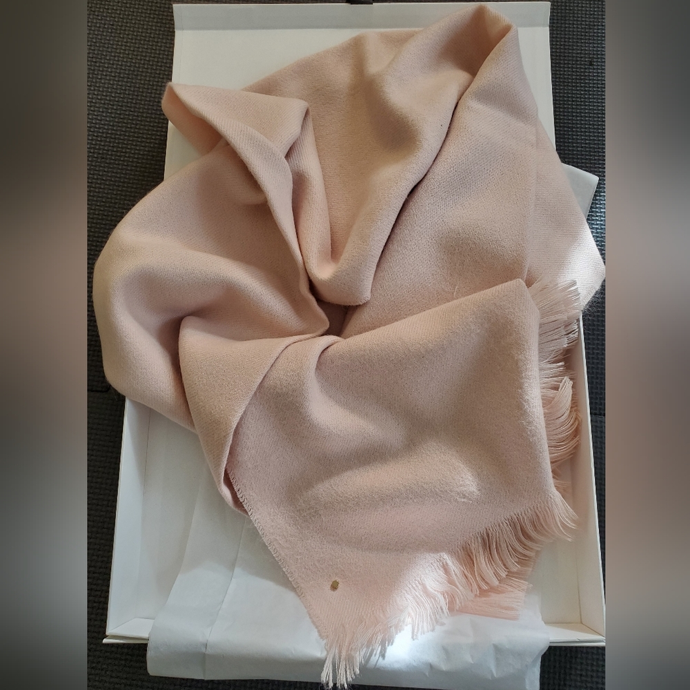 Cuyana Alpaca Scarf